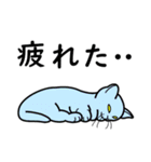 たんたんねこ（個別スタンプ：24）