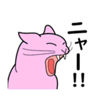 たんたんねこ（個別スタンプ：28）