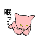 たんたんねこ（個別スタンプ：29）