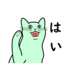たんたんねこ（個別スタンプ：30）