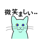 たんたんねこ（個別スタンプ：35）
