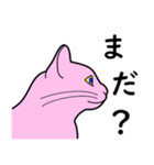 たんたんねこ（個別スタンプ：36）