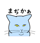 たんたんねこ（個別スタンプ：37）