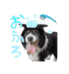 モフモフの仲間たち3（個別スタンプ：14）