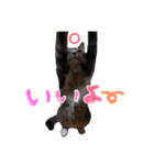 モフモフの仲間たち3（個別スタンプ：18）