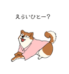 まーひーおじさん犬（私用）（個別スタンプ：8）