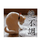 くつろぎ古民家まめ猫（個別スタンプ：20）