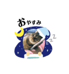 てんちゃんのキモチ（個別スタンプ：3）