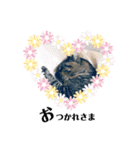 てんちゃんのキモチ（個別スタンプ：5）