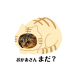 てんちゃんのキモチ（個別スタンプ：11）