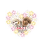 あいらぶ♡メルニコ（個別スタンプ：1）