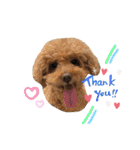あいらぶ♡メルニコ（個別スタンプ：2）