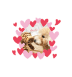 あいらぶ♡メルニコ（個別スタンプ：3）