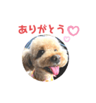 あいらぶ♡メルニコ（個別スタンプ：4）