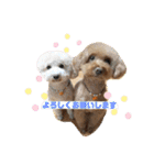 あいらぶ♡メルニコ（個別スタンプ：8）