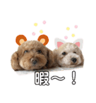 あいらぶ♡メルニコ（個別スタンプ：12）