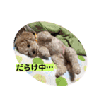 あいらぶ♡メルニコ（個別スタンプ：13）