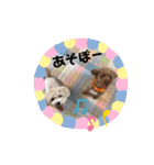 あいらぶ♡メルニコ（個別スタンプ：14）