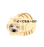 あいらぶ♡メルニコ（個別スタンプ：16）