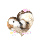 あいらぶ♡メルニコ（個別スタンプ：17）