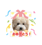 あいらぶ♡メルニコ（個別スタンプ：18）