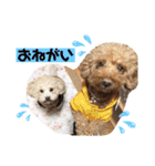 あいらぶ♡メルニコ（個別スタンプ：19）