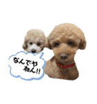 あいらぶ♡メルニコ（個別スタンプ：20）