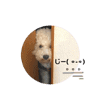 あいらぶ♡メルニコ（個別スタンプ：21）
