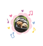 あいらぶ♡メルニコ（個別スタンプ：24）
