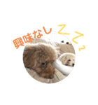 あいらぶ♡メルニコ（個別スタンプ：30）