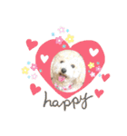 あいらぶ♡メルニコ（個別スタンプ：31）