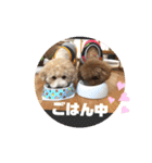 あいらぶ♡メルニコ（個別スタンプ：34）