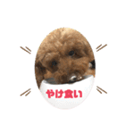 あいらぶ♡メルニコ（個別スタンプ：35）