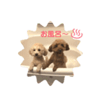 あいらぶ♡メルニコ（個別スタンプ：36）