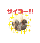 あいらぶ♡メルニコ（個別スタンプ：37）