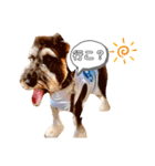 かーるの仔犬とカール＆ノア（個別スタンプ：5）