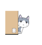 ニャあいさつ（個別スタンプ：31）