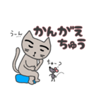setzyのまゆげネコ（個別スタンプ：25）