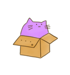 箱に入ったねこ（個別スタンプ：5）