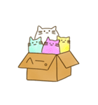 箱に入ったねこ（個別スタンプ：9）