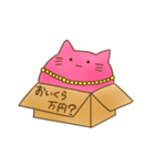 箱に入ったねこ（個別スタンプ：16）