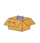 箱に入ったねこ（個別スタンプ：20）