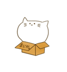 箱に入ったねこ（個別スタンプ：22）