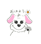 犬のこったん（個別スタンプ：1）