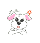 犬のこったん（個別スタンプ：7）