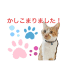 めんま専務 ビジネス用1（個別スタンプ：2）