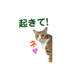 第3弾もぐちゃんのもぐもぐスタンプ（個別スタンプ：2）