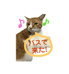 第3弾もぐちゃんのもぐもぐスタンプ（個別スタンプ：4）