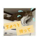 第3弾もぐちゃんのもぐもぐスタンプ（個別スタンプ：6）