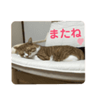第3弾もぐちゃんのもぐもぐスタンプ（個別スタンプ：14）
